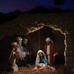 Meet your Posher, Traci